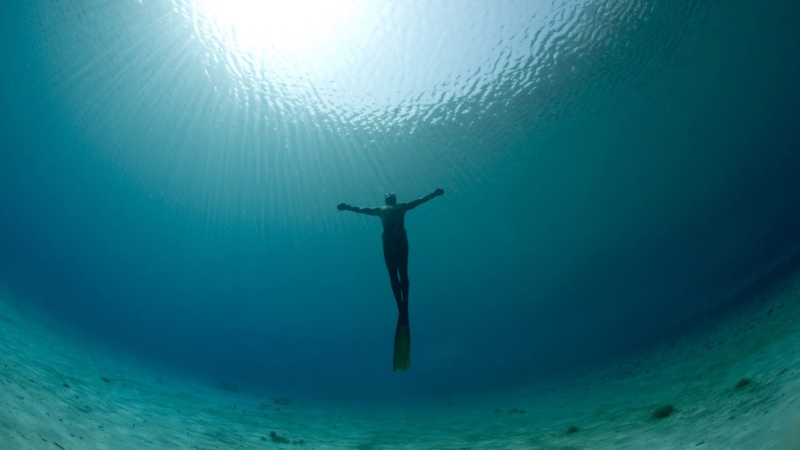 what is free diving?