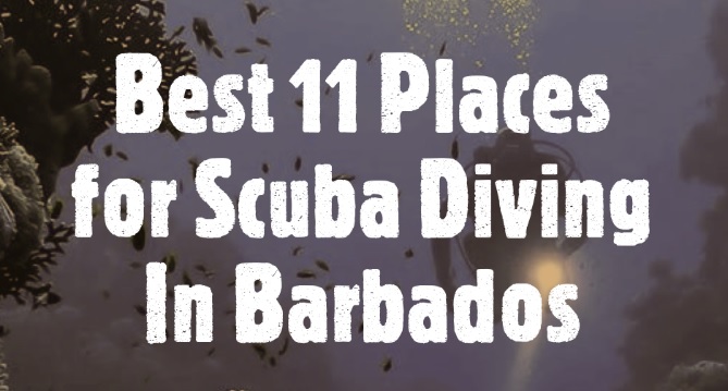Best 11 Places for Scuba Diving In Barbados