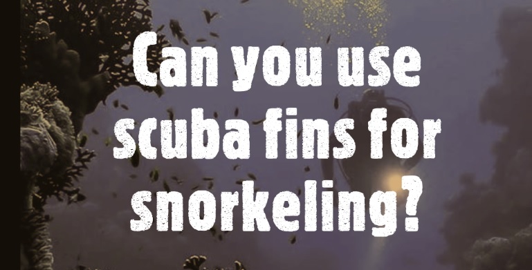 Can you use scuba fins for snorkeling?