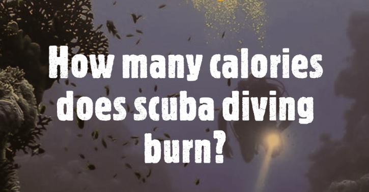 How many calories does scuba diving burn?