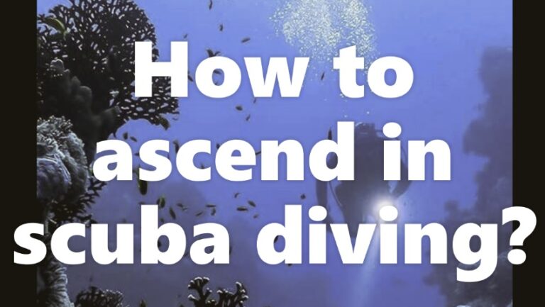 How To Ascend In Scuba Diving