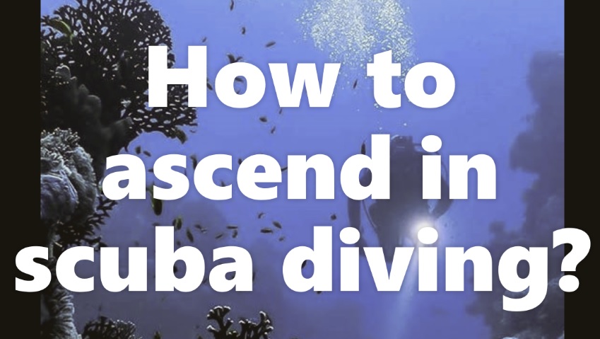 how to ascend in scuba diving?