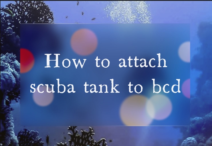 How to attach scuba tank to bcd
