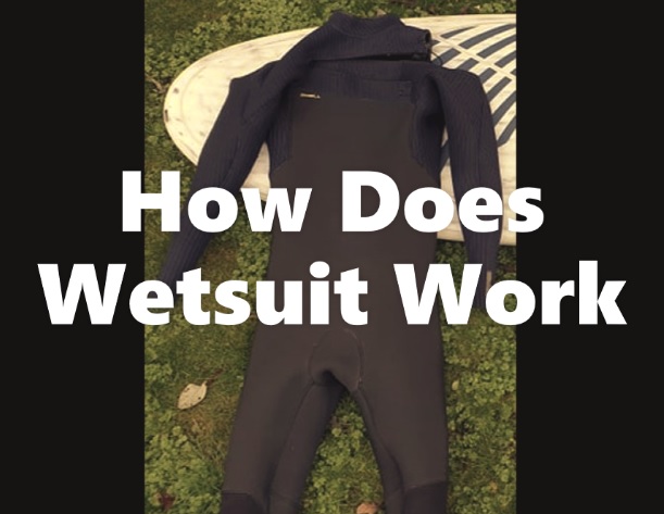 How Does A Wetsuit Work?