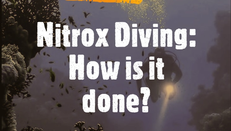 Nitrox Diving