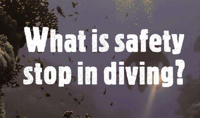 What is safety stop in diving?