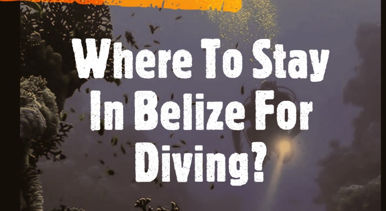 where to stay in belize for diving?