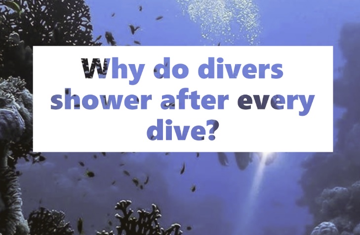 Why do divers shower after every dive?