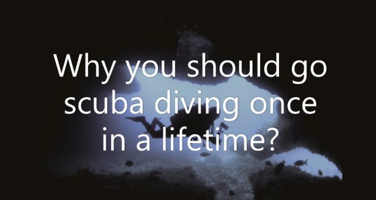 Why you should go scuba diving once in a lifetime?
