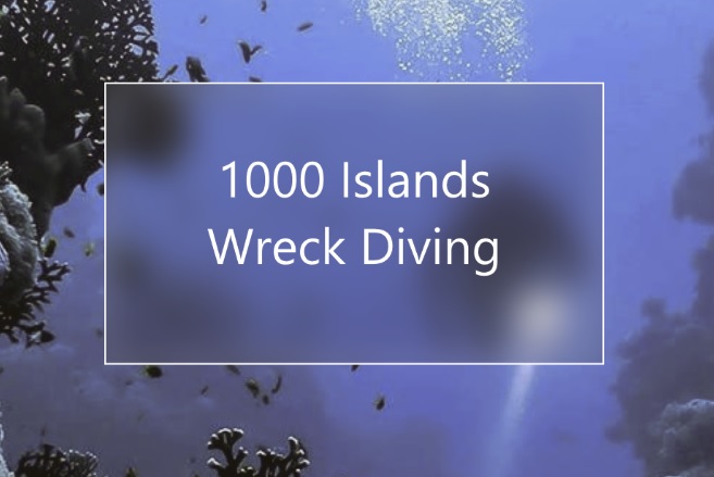 1000 Islands Wreck Diving