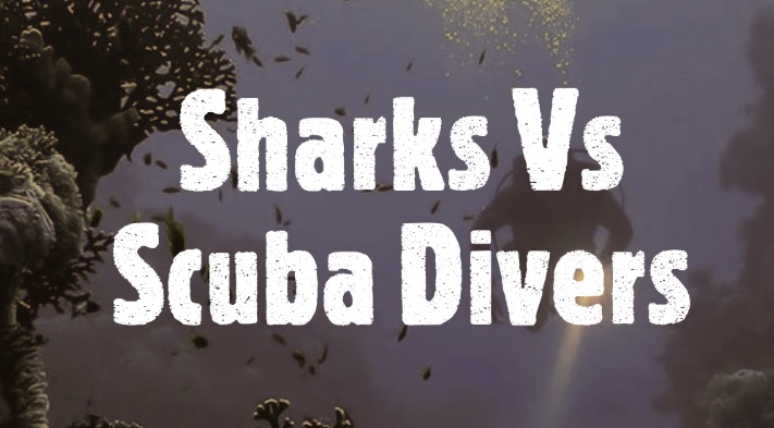 Do sharks attack scuba divers?