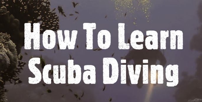How To Learn Scuba Diving
