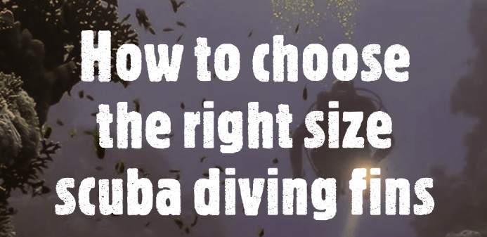 How to choose the right size scuba diving fins
