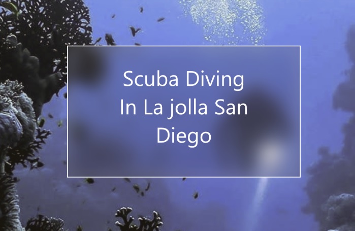 Scuba Diving La jolla San Diego