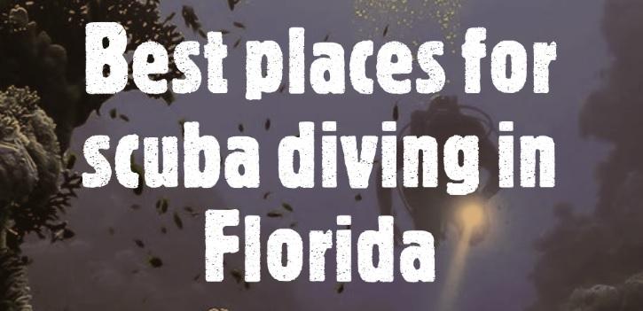 Best places for scuba diving in Florida