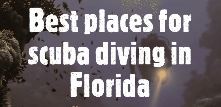 scuba divng florida