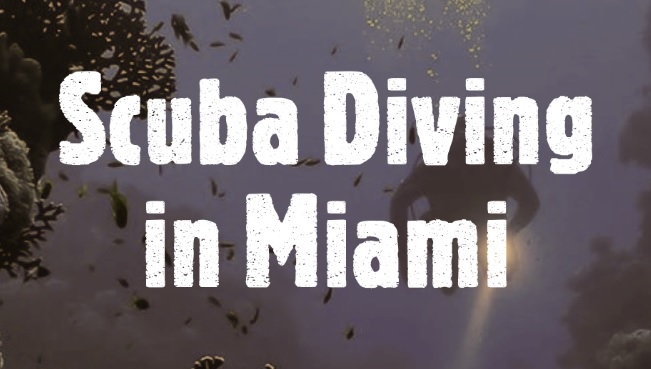 Scuba Diving in Miami