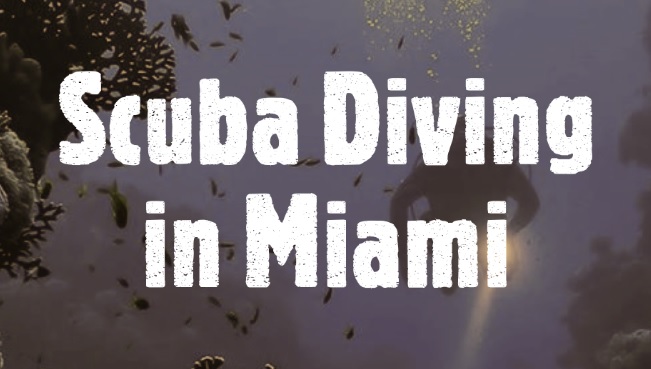 Scuba Diving in Miami: Top Destinations