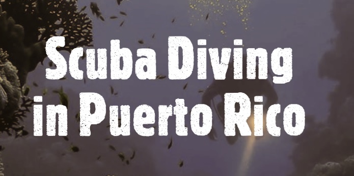 Scuba Diving in Puerto Rico