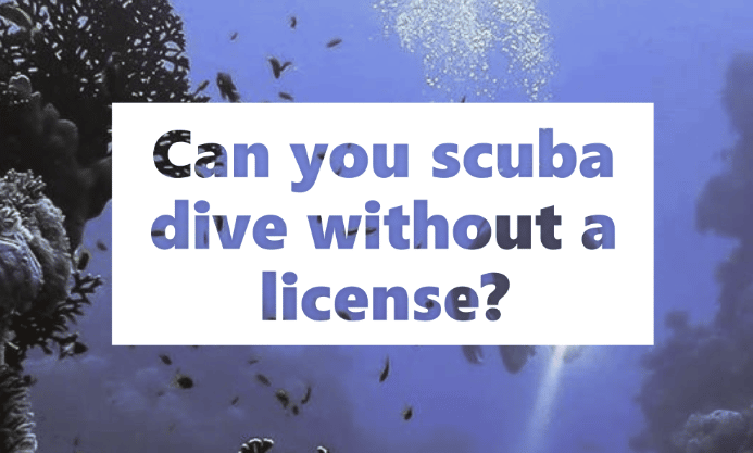 Can you scuba dive without a license?