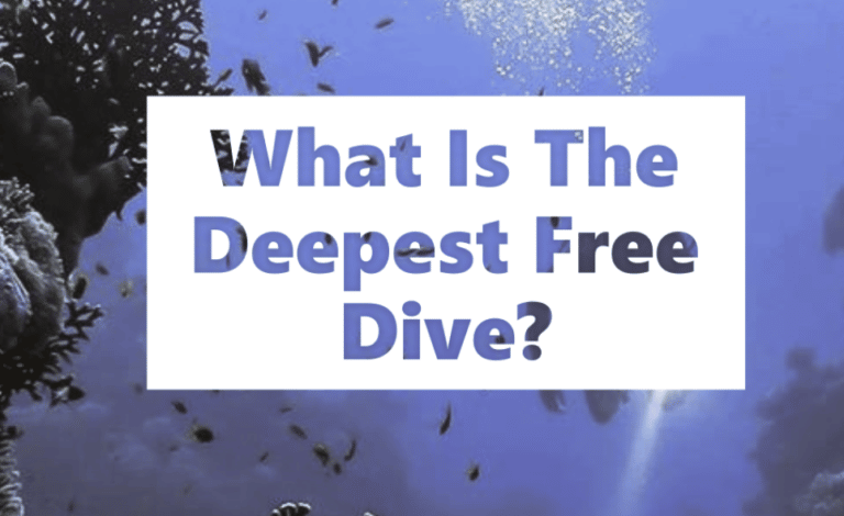 What Is The Deepest Free Dive?