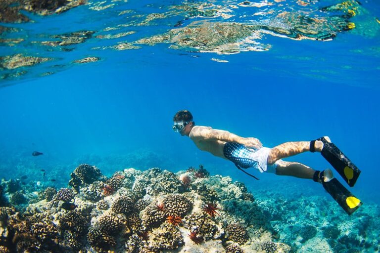How do you breathe underwater while snorkeling?