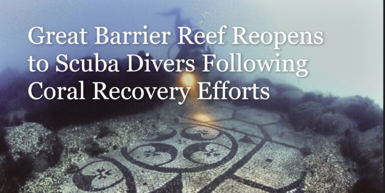 Great Barrier Reef Reopens to Scuba Divers Following Coral Recovery Efforts